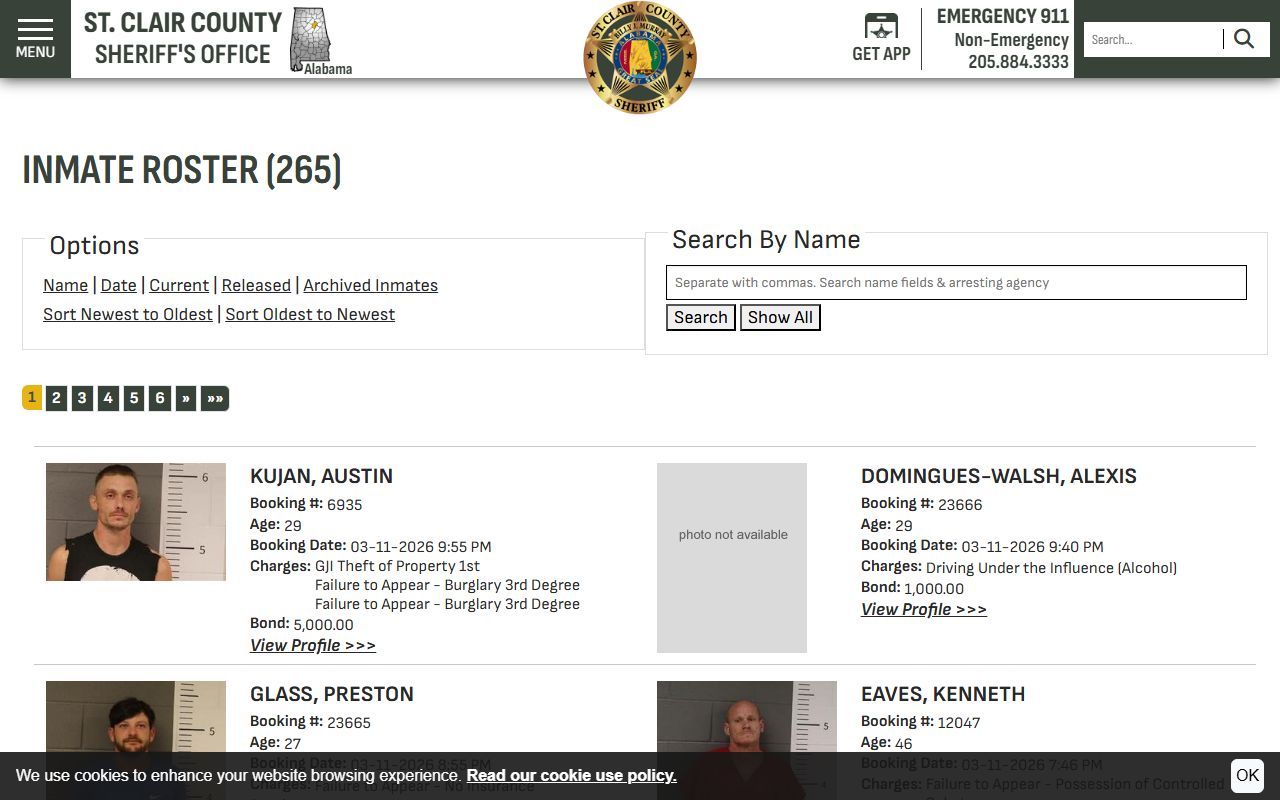 St. Clair County jail mugshots